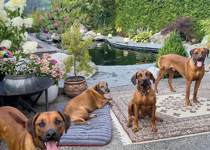 Waltensburg شقة *